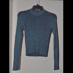 H & M Shimmery Turtleneck